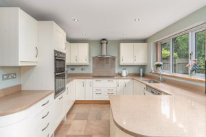 Photo 12- click for photo gallery